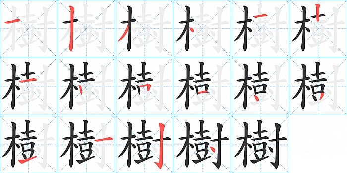 樹的笔顺分步演示图